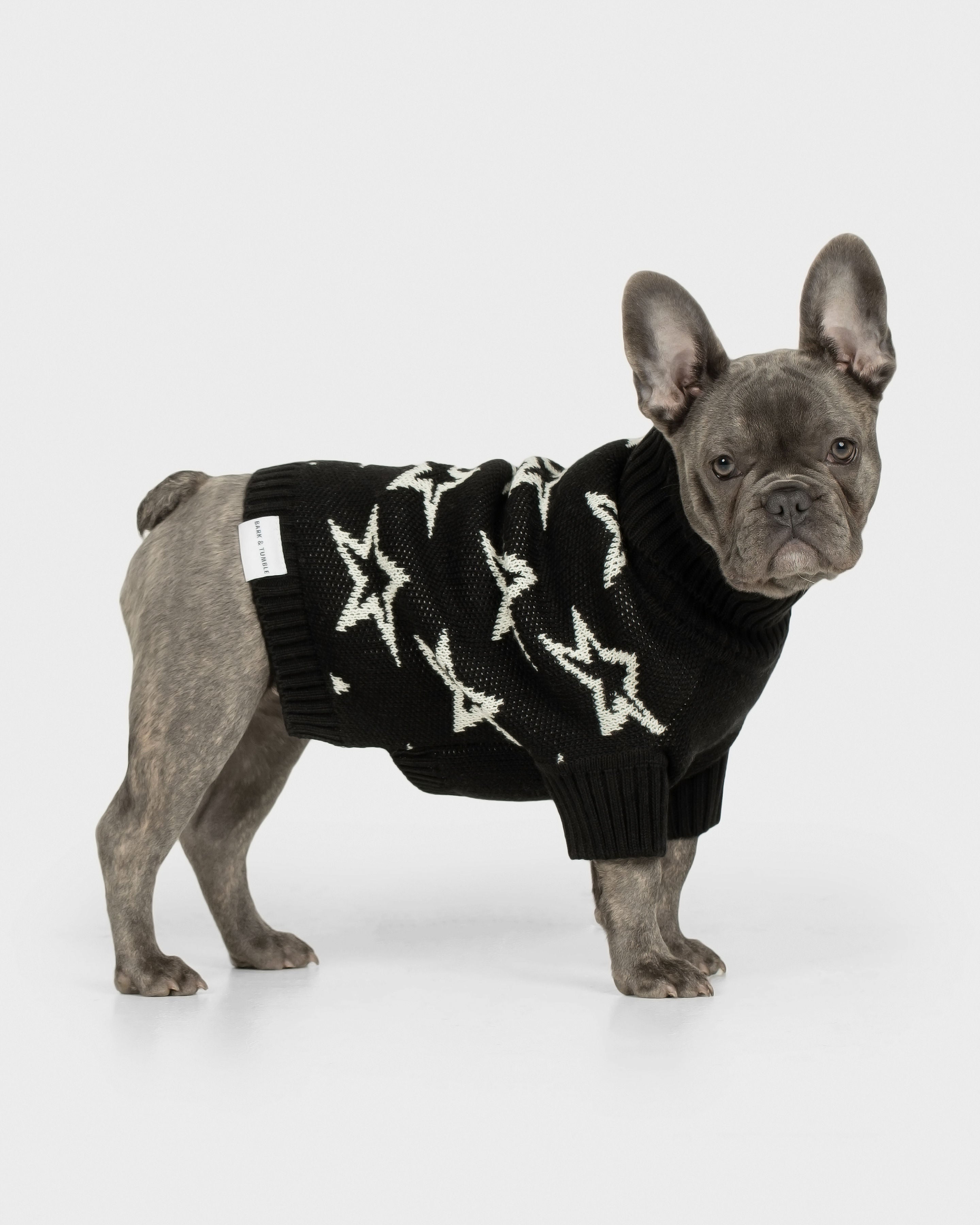 Shine Bright Knit Jumper